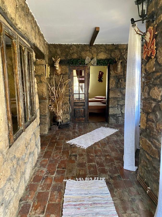 فيلا The Hunter House Ciudanovita المظهر الخارجي الصورة