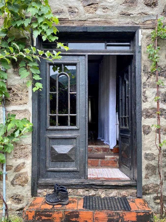 فيلا The Hunter House Ciudanovita المظهر الخارجي الصورة