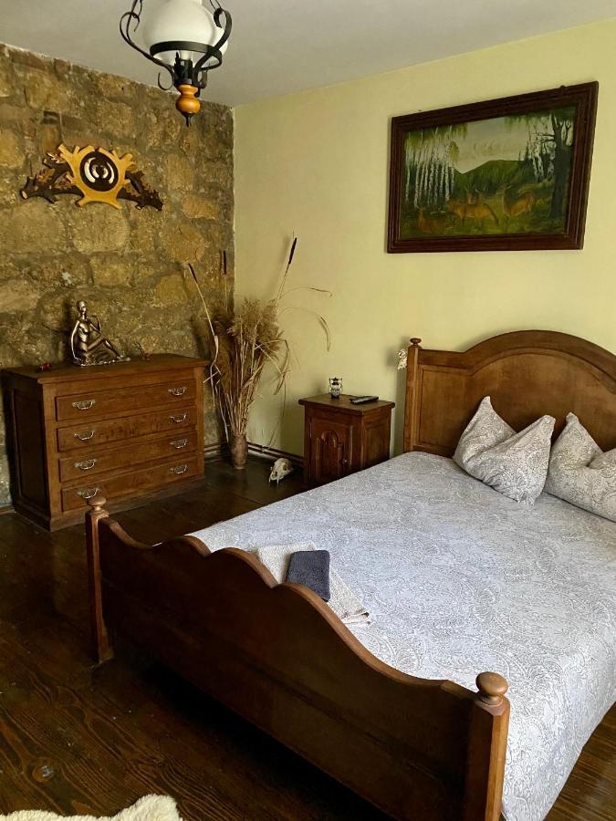 فيلا The Hunter House Ciudanovita المظهر الخارجي الصورة