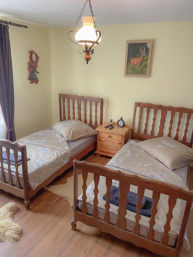 فيلا The Hunter House Ciudanovita المظهر الخارجي الصورة