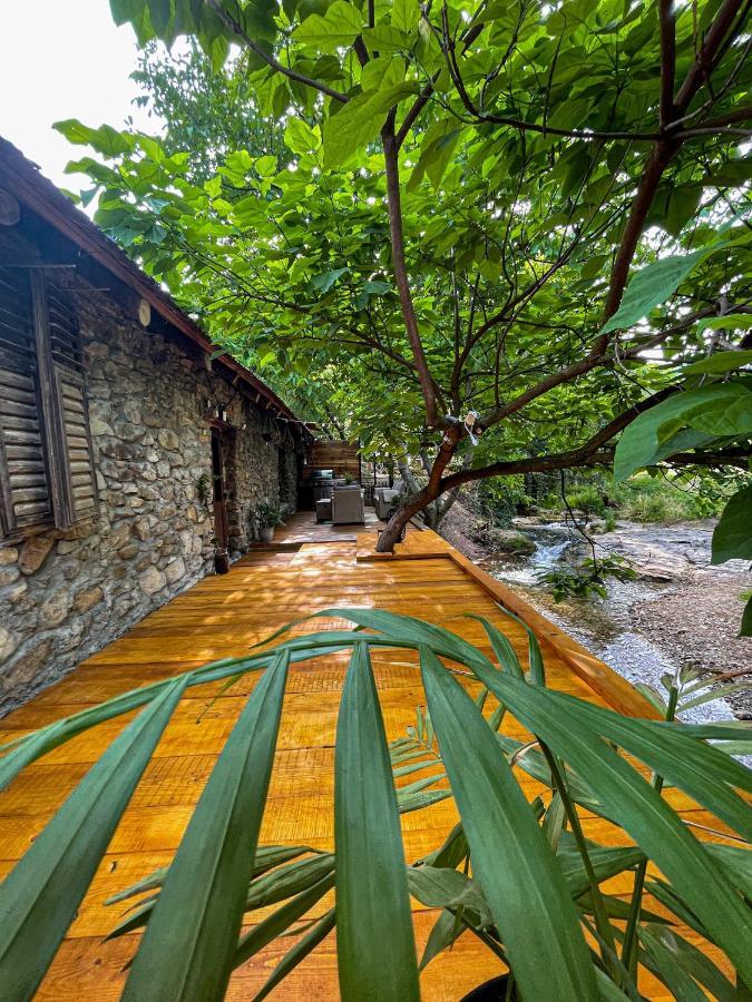 فيلا The Hunter House Ciudanovita المظهر الخارجي الصورة