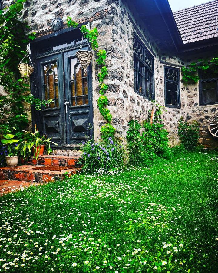 فيلا The Hunter House Ciudanovita المظهر الخارجي الصورة